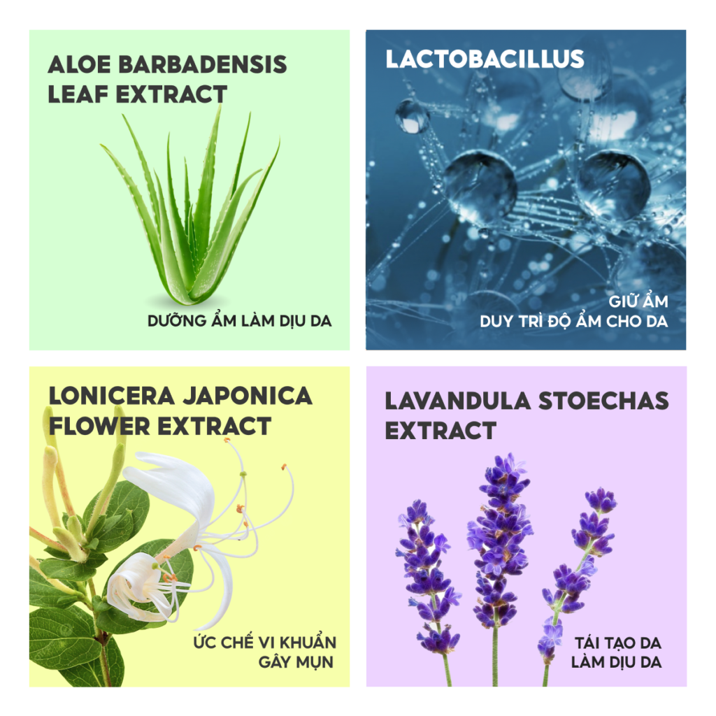 Các nguyên liệu thực vật Việt Nam