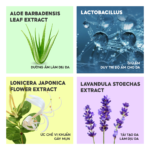 Các nguyên liệu thực vật Việt Nam