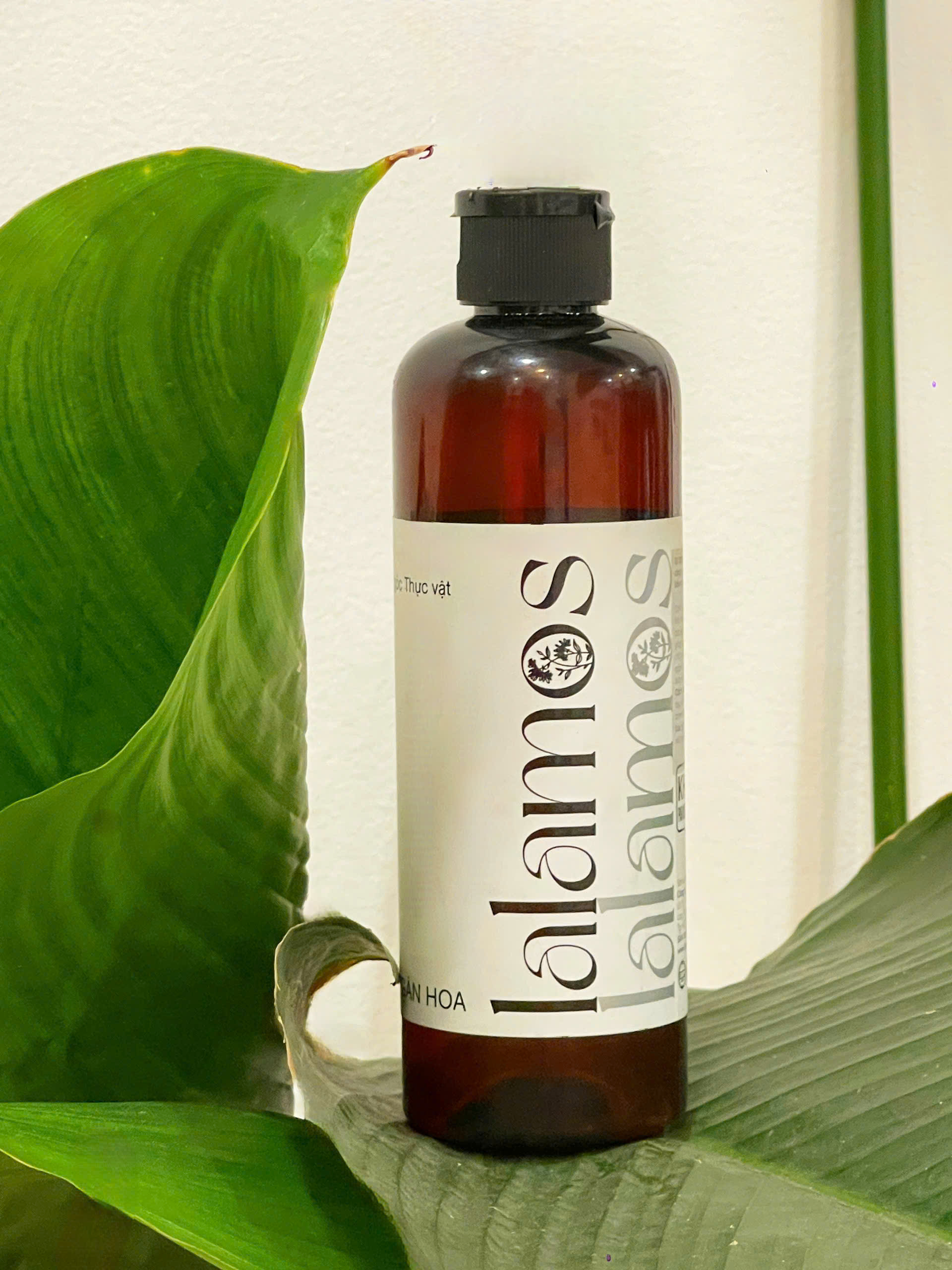 TONER CÁNH KIM NGÂN HOA