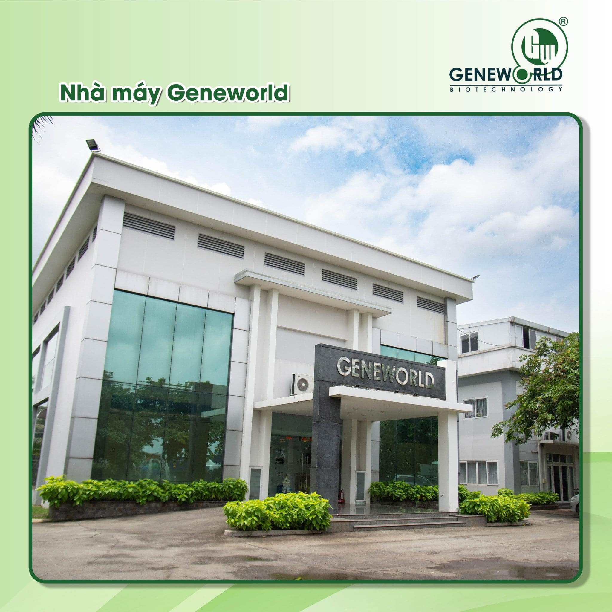 Công ty TNHH THẾ GIỚI GEN